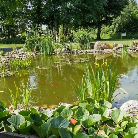 Stunning In With Sauna
